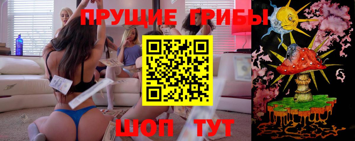 Галлюциногенные грибы Psilocybe Пенза