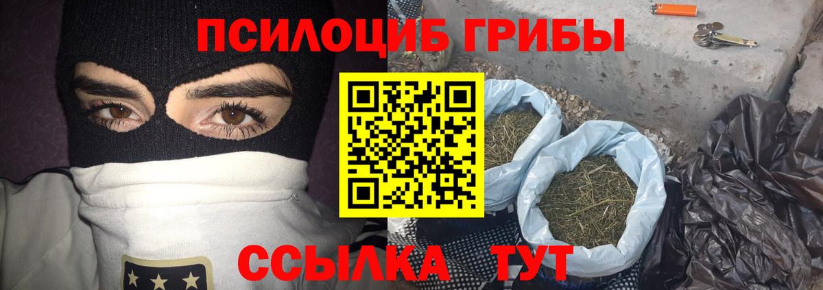 где найти наркотики  Вход с VPN  Пенза  Псилоцибиновые грибы MAGIC MUSHROOMS 